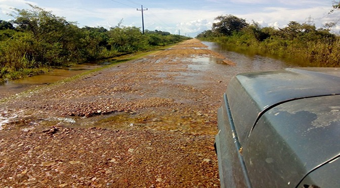 Cheia do Miranda chega ao Pantanal e água cobre parte da Estrada Parque Cheia do Miranda chega ao Pantanal e água cobre parte da Estrada Parque