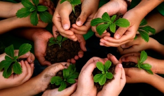 Sustentabilidade nas empresas aumenta demanda por profissionais com atuação em Meio Ambiente Divulgação