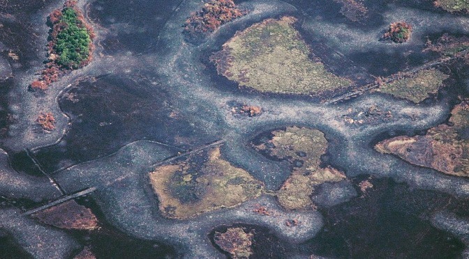 Incêndio que consumiu 28 mil hectares de parque é controlado