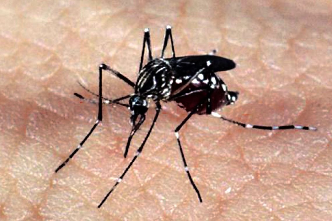 Saúde investiga suspeita por dengue hemorrágica em uma criança no interior Saúde investiga suspeita por dengue hemorrágica em uma criança no interior