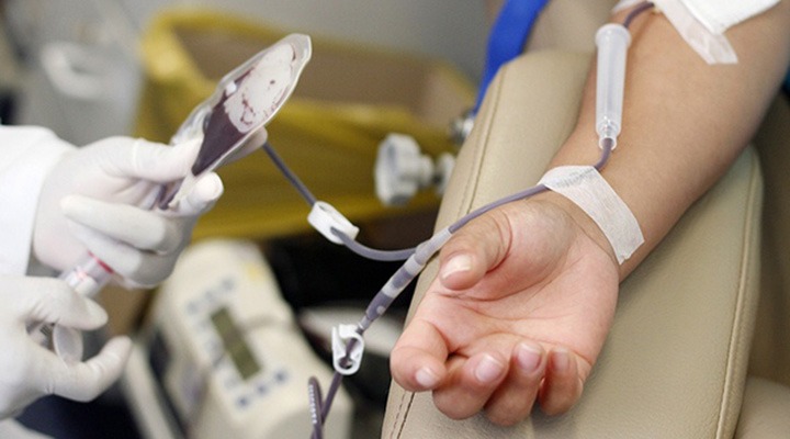 14 de Junho: Dia Mundial do Doador de Sangue Divulgação