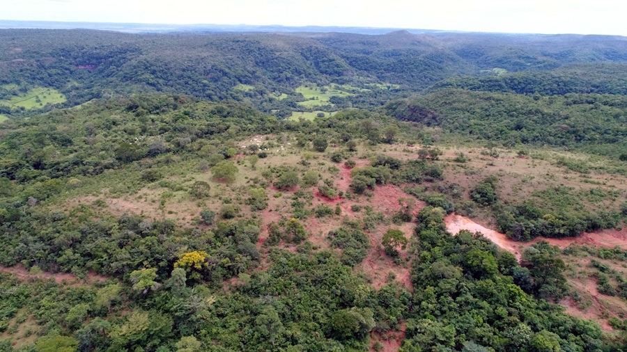 Com uso de drones e GPS, PMA descobre desmatamento ilegal