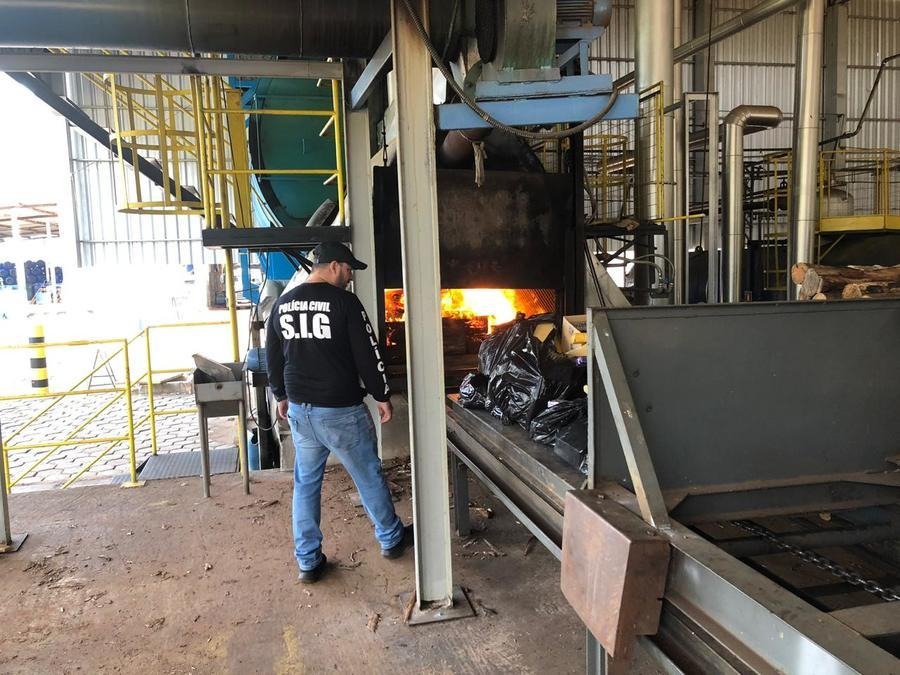 Polícia incinera quase meia tonelada de droga no interior Divulgação