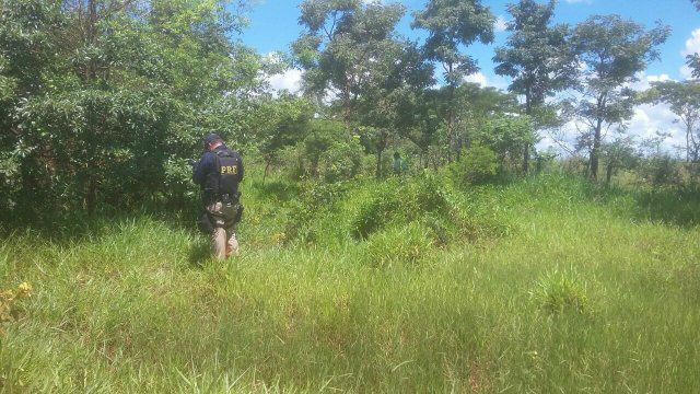 Mulher é estuprada e esfaqueada em estrada vicinal no distrito de Panambi, em Dourados Foto: PRF (Divulgação)