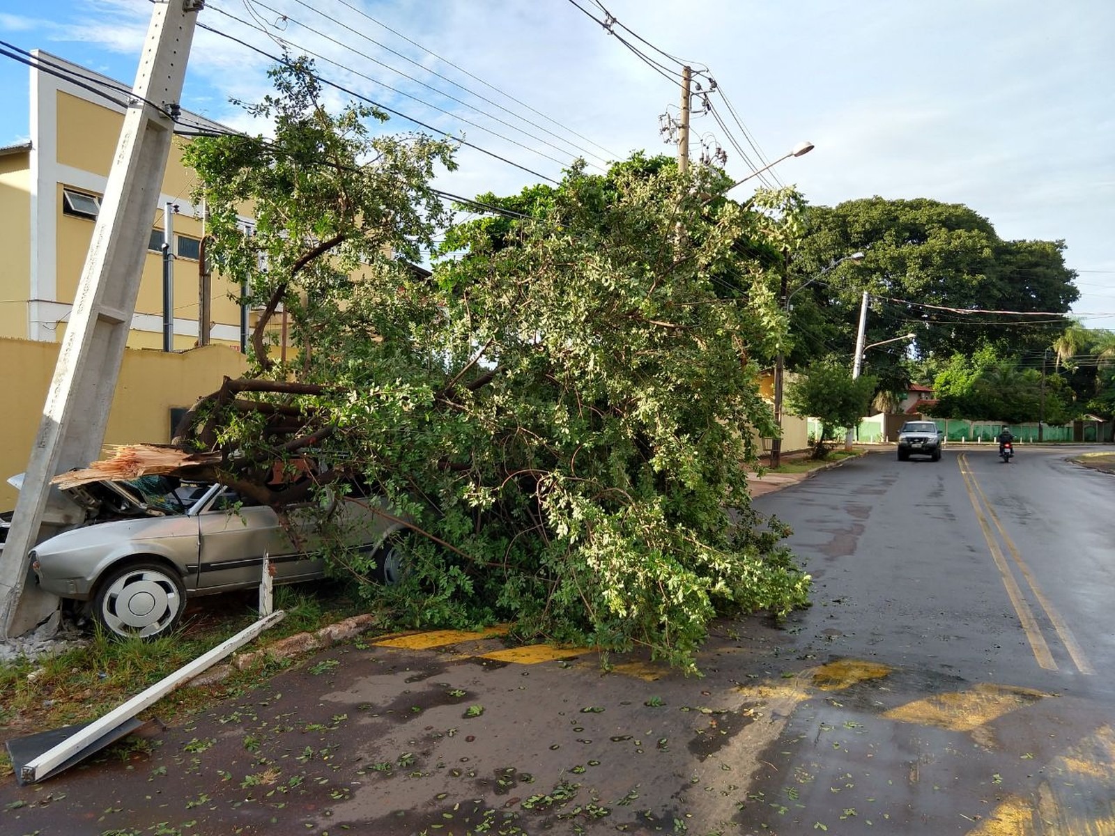 Carro derrubou árvore, poste e placa de sinalização em MS (Foto: Ariovaldo Dantas)