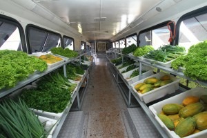 ‘Saladão’ vai ampliar acesso da população aos produtos da agricultura familiar ‘Saladão’ vai ampliar acesso da população aos produtos da agricultura familiar