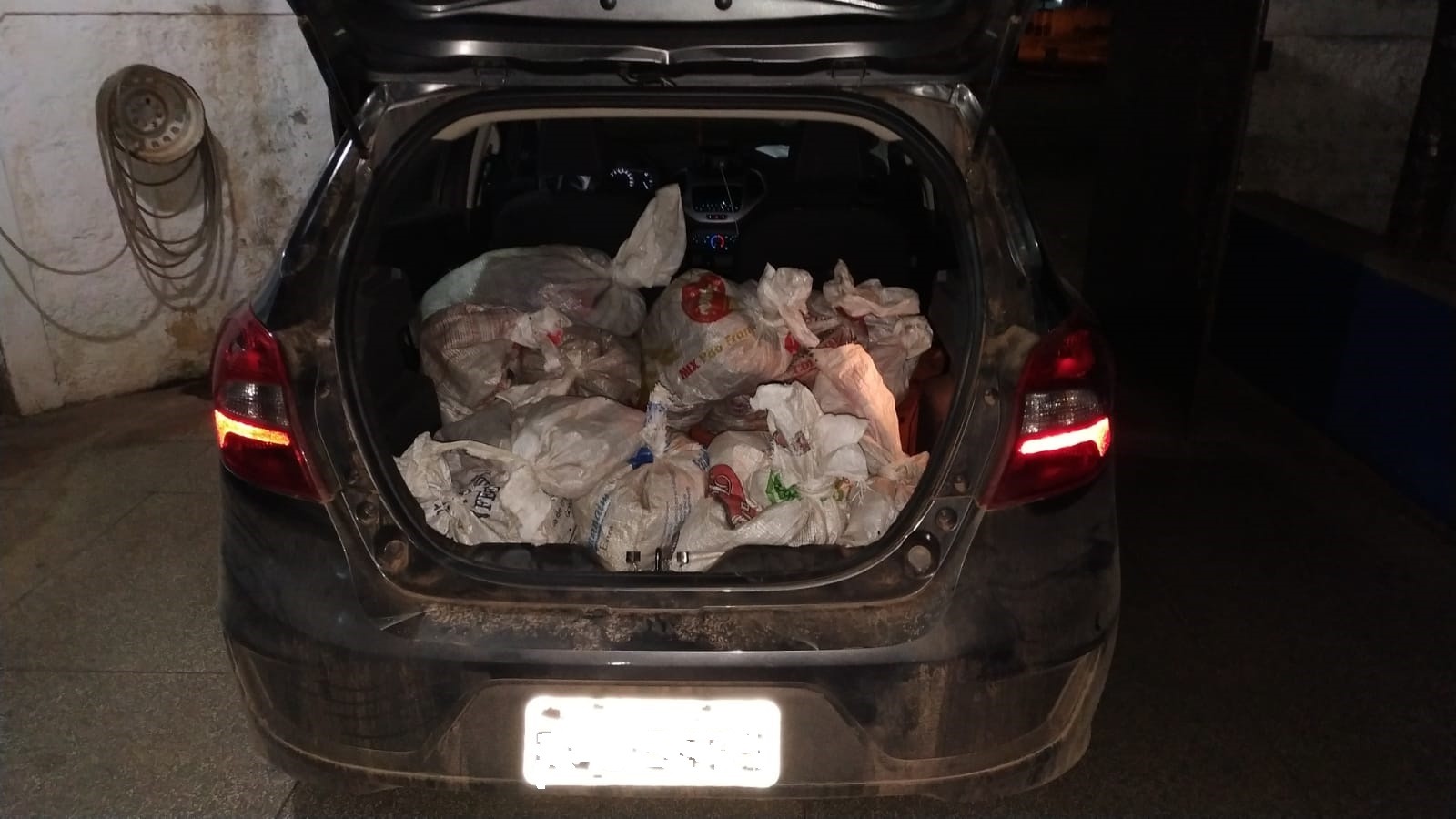 Comerciante é autuado por transporte de 2,5 mil caranguejos ilegalmente Divulgação