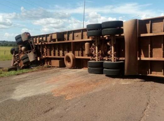 Caminhão carregado com cabeças de gado tomba na Duque de Caxias