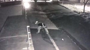Cães são envenenados por desconhecido que passava de bicicleta Câmeras de segurança mostram momento em que desconhecido se aproxima do portão da casa e arremessa objeto. Foto: Reprodução