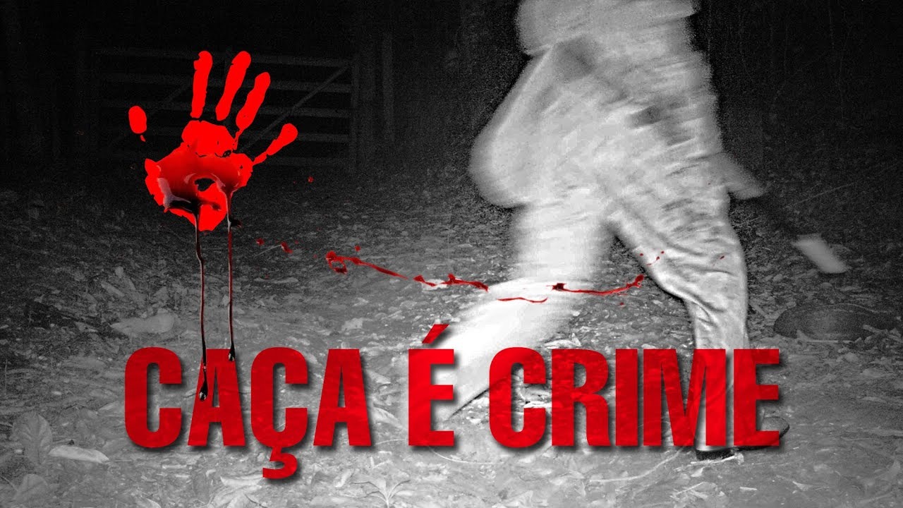 Imagem ilustrativa