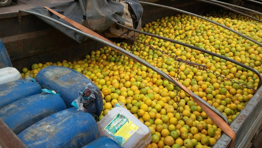 Galões com combustível em meio à carga de laranja (Foto: PRF/Divulgação)