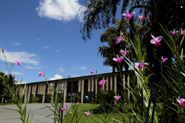Deputados fazem plantio de mudas na ALMS nesta quarta-feira Assembleia irá comemorar a Semana do Meio Ambiente com plantio de mudas
Foto: Wagner Guimarães AL/MS