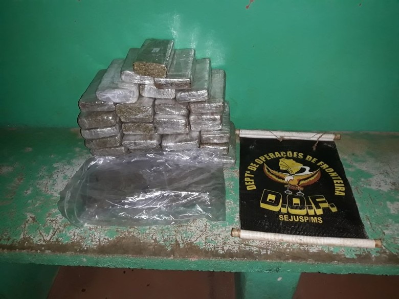 DOF prende mulher transportando droga em ônibus