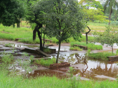 Processo licitatório para nova Câmara não atrai interessados para realizar as obras Terreno onde deve ser erguido o novo prédio da Câmara de Dourados, no cruzamento da rua Coronel Ponciano, com a avenida Joaquim Teixeira Alves - Fotos: Rodrigo Bossolani