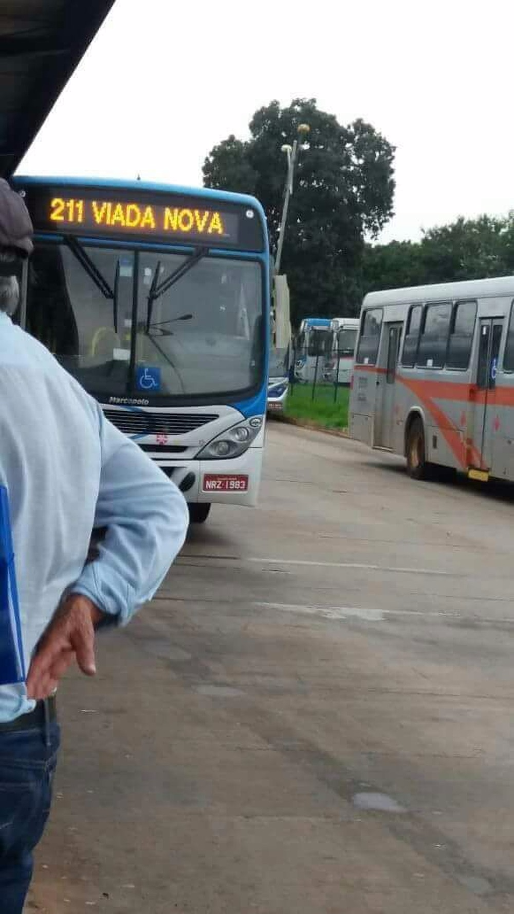 Campo Grande conta com 597 ônibus em circulação (Foto: G1 MS)