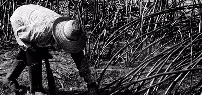 Fazendas em Aquidauana e Dourados estão na "lista suja" do trabalho escravo Fazendas em Aquidauana e Dourados estão na "lista suja" do trabalho escravo