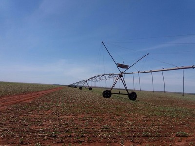 Estiagem tem impacto pequeno na safra de soja do Sul do Estado