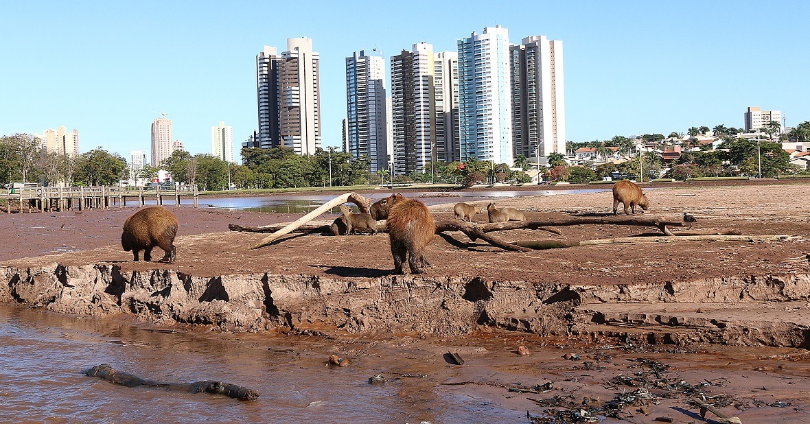 Estado inicia drenagem do lago maior do Parque das Nações Indígenas Edemir Rodrigues