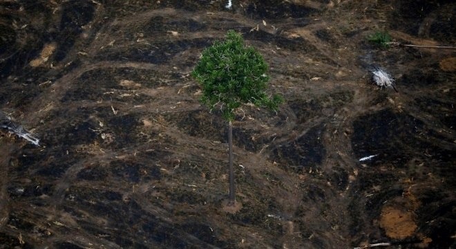 Desmatamento aumentou 96% em comparação com setembro de 2018. Bruno Kelly/Reuters