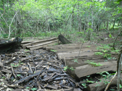 Madeira apreendida pela equipe da PMA - Foto: Divulgação