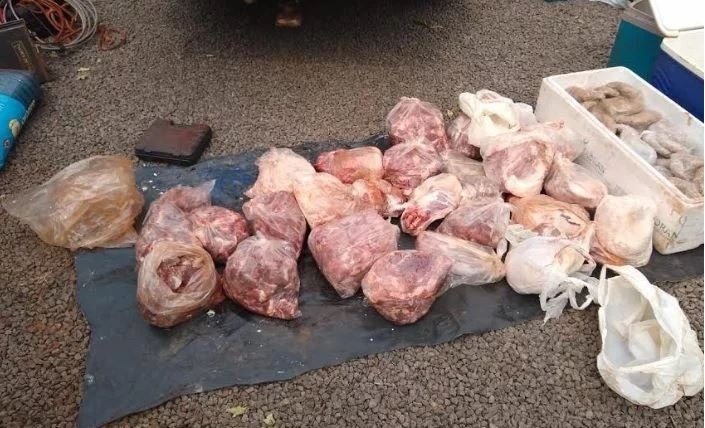 PMA prende caçador com carne de animais silvestres abatidos PMA/divulgação