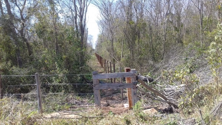Aroeira foi usada como estacas para cerca. PMA/divulgação