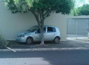 Durante a fuga, suspeitos de roubo colidiram o carro e ficaram presos entre o muro e uma árvore. (Foto: Direto das Ruas)