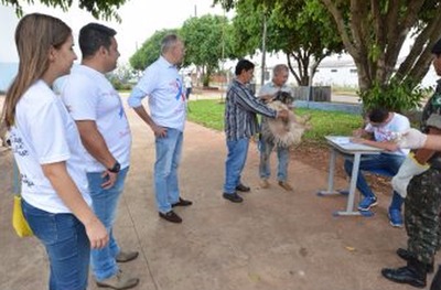 Prefeitura vacina mais de 7 mil entre cães e gatos Prefeitura vacina mais de 7 mil entre cães e gatos
