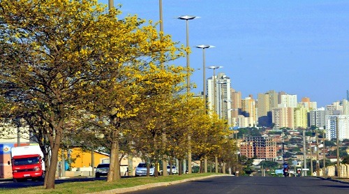 Prefeituras do Mato Grosso do Sul fecharam contas no azul em 2017 O índice de MS supera a média nacional, de 50,3% das prefeituras com as contas em dia - Foto: Arquivo / Correio do Estado