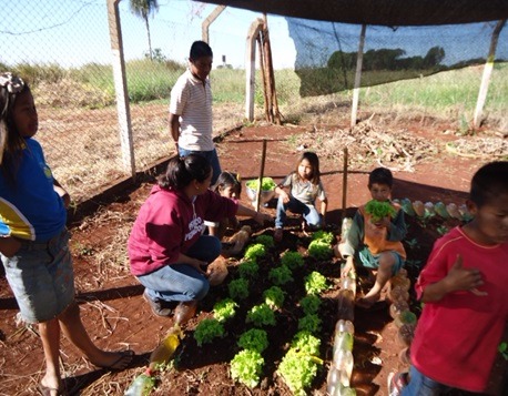 Projeto Terra Sagrada é lançado para fomentar agroecologia nas aldeias Projeto ensina crianças indígenas sobre manuseio de hortas nas aldeias de Dourados – Divulgação