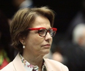 Tereza Cristina e outros 3 deputados pedem desfiliação do PSB