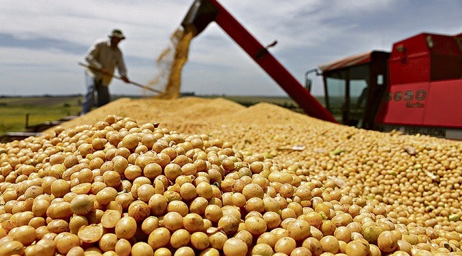 Agronegócio é identidade econômica e social de Mato Grosso do Sul Agronegócio é identidade econômica e social de Mato Grosso do Sul