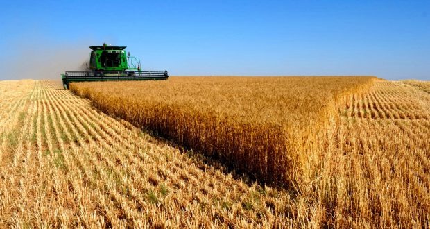 Plano Safra terá R$ 225,59 bilhões em créditos para agricultores Foto: Assessoria
