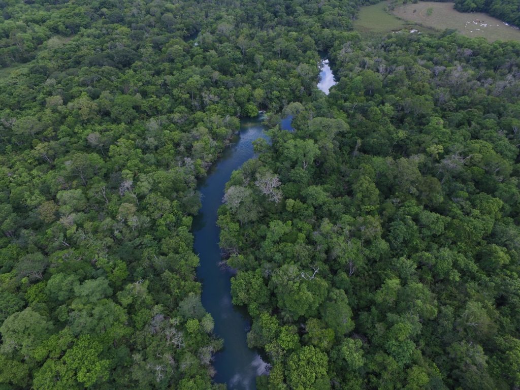 A nossa água de cada dia – 22 de março “Dia Mundial da Água”