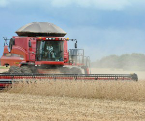 Colheita da soja atrasa e apenas 44,5% da área foi colhida em Mato Grosso do Sul Produtores colheram pouco mais de 1 milhão de hectares
(Foto: Álvaro Rezende / Correio do Estado)