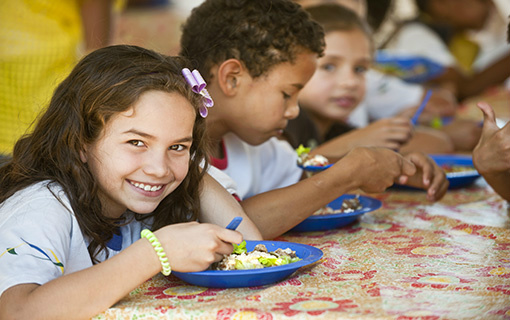 Municípios com pendências no Conselho de Alimentação Escolar podem ter repasses do Pnae suspensos Municípios com pendências no Conselho de Alimentação Escolar podem ter repasses do Pnae suspensos