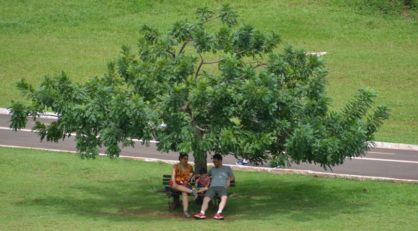 Feriado em Campo Grande? Parques das Nações Indígenas e dos Poderes são opções de lazer Feriado em Campo Grande? Parques das Nações Indígenas e dos Poderes são opções de lazer