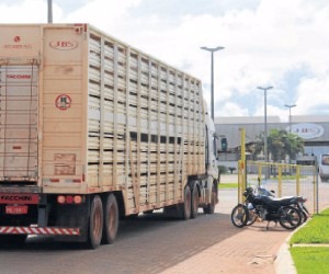 Pecuaristas temem redução nos abates e queda de preços no Estado Unidades do grupo JBS no Estado abateram 442,3 mil animais no primeiro quadrimestre - Gerson Oliveira/Correio do Estado