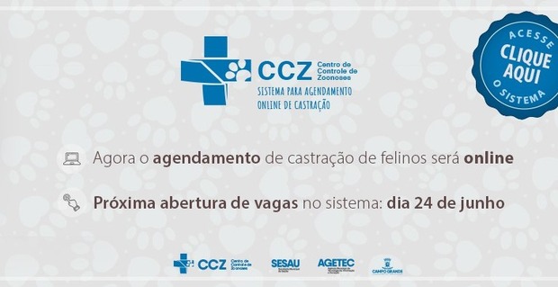 Site para agendamento de castrações de felinos libera acesso na segunda