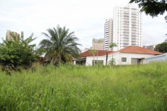Matagal toma conta de terreno na rua Franklin Roosevelt com 15 de Novembro. (Foto: Marcos Ermínio)