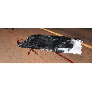 Ciclista morre atropelado por ônibus na BR-376