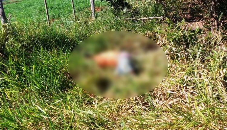 Corpo de homem é encontrado com vários golpes de faca na margem de rodovia Da Hora Bataguassu