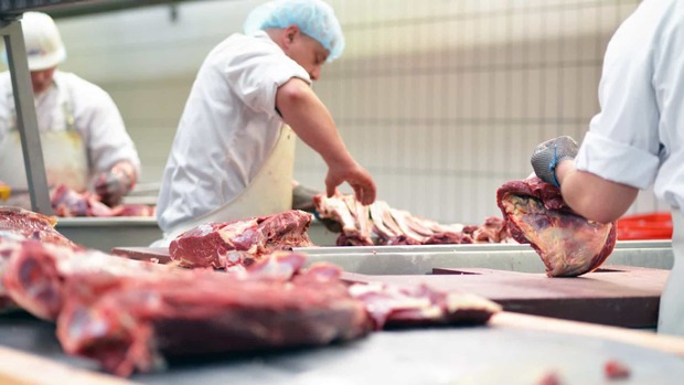 Carnes podem continuar subindo até fevereiro, diz FGV (Shutterstock)
