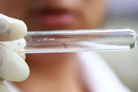Exames de Zika serão obrigatórios para planos de saúde a partir desta semana