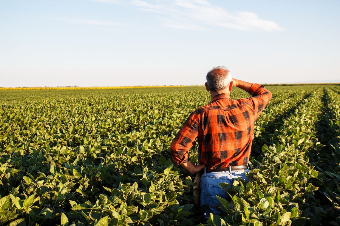 Produtores rurais poderão refinanciar dívidas com juros de 8% ao ano Produtores rurais poderão refinanciar dívidas com juros de 8% ao ano