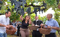 Audiência sobre turismo rural na Câmara conta com a participação da CNM