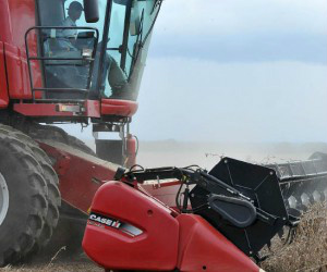 Estado tenta incrementar recursos para a agropecuária - Foto: Álvaro Rezende / Correio do Estado