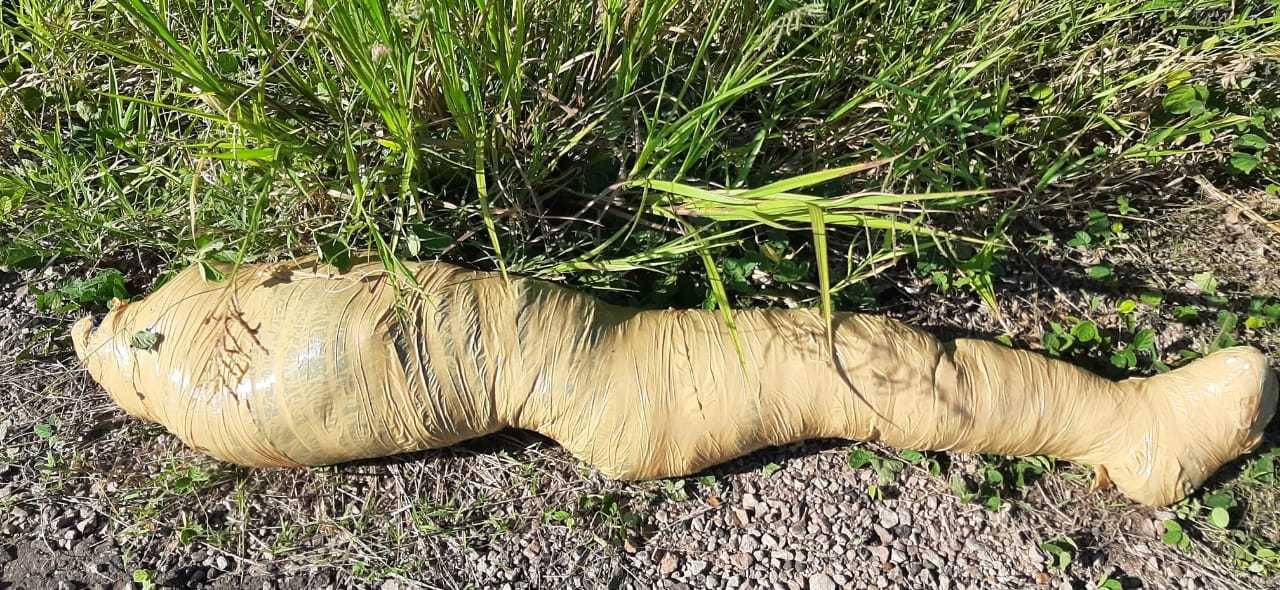 A polícia investiga o achado e os peritos foram acionados. Divulgação