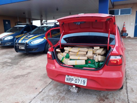 Homem é flagrado tentando levar quase meia tonelada de maconha para GO
