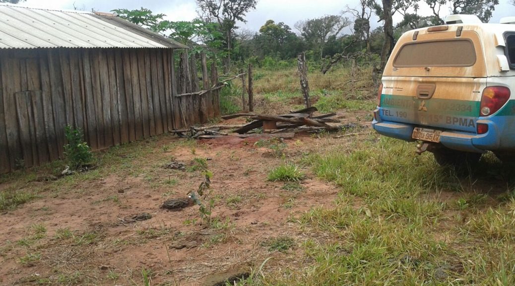 Posseiro é autuado em R$ 4 mil por desmatamento ilegal de vegetação nativa